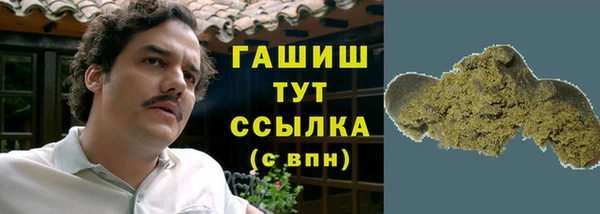 мдпв Заводоуковск