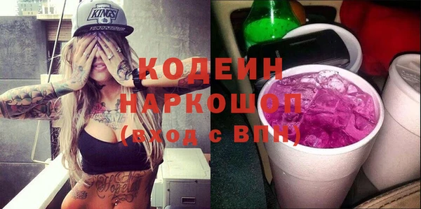мдпв Заводоуковск