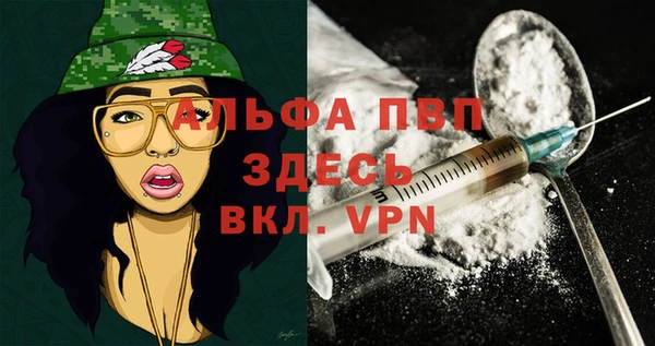 мдпв Заводоуковск