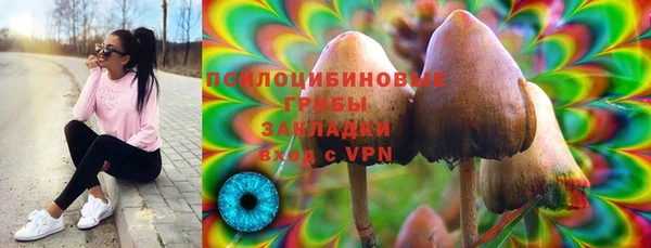 ешки Заволжье