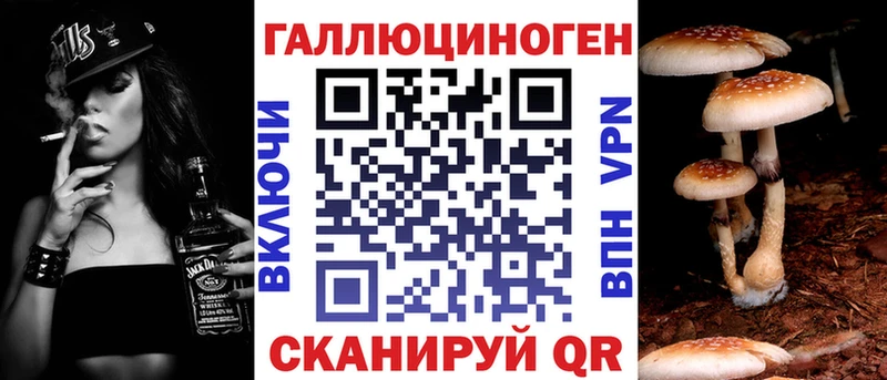 Псилоцибиновые грибы Psilocybine cubensis  Сретенск 